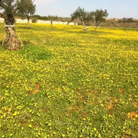 בית נופש Biba פומר