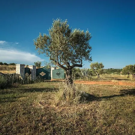 Holiday home Biba