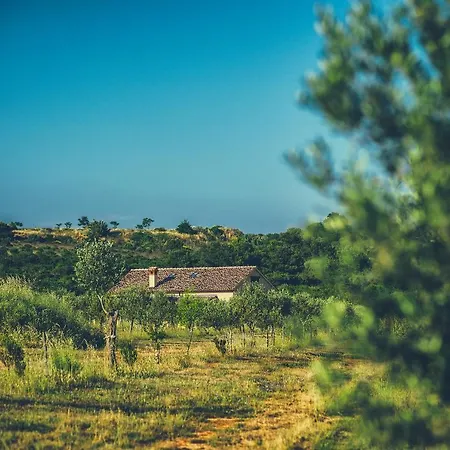 Holiday home Biba *